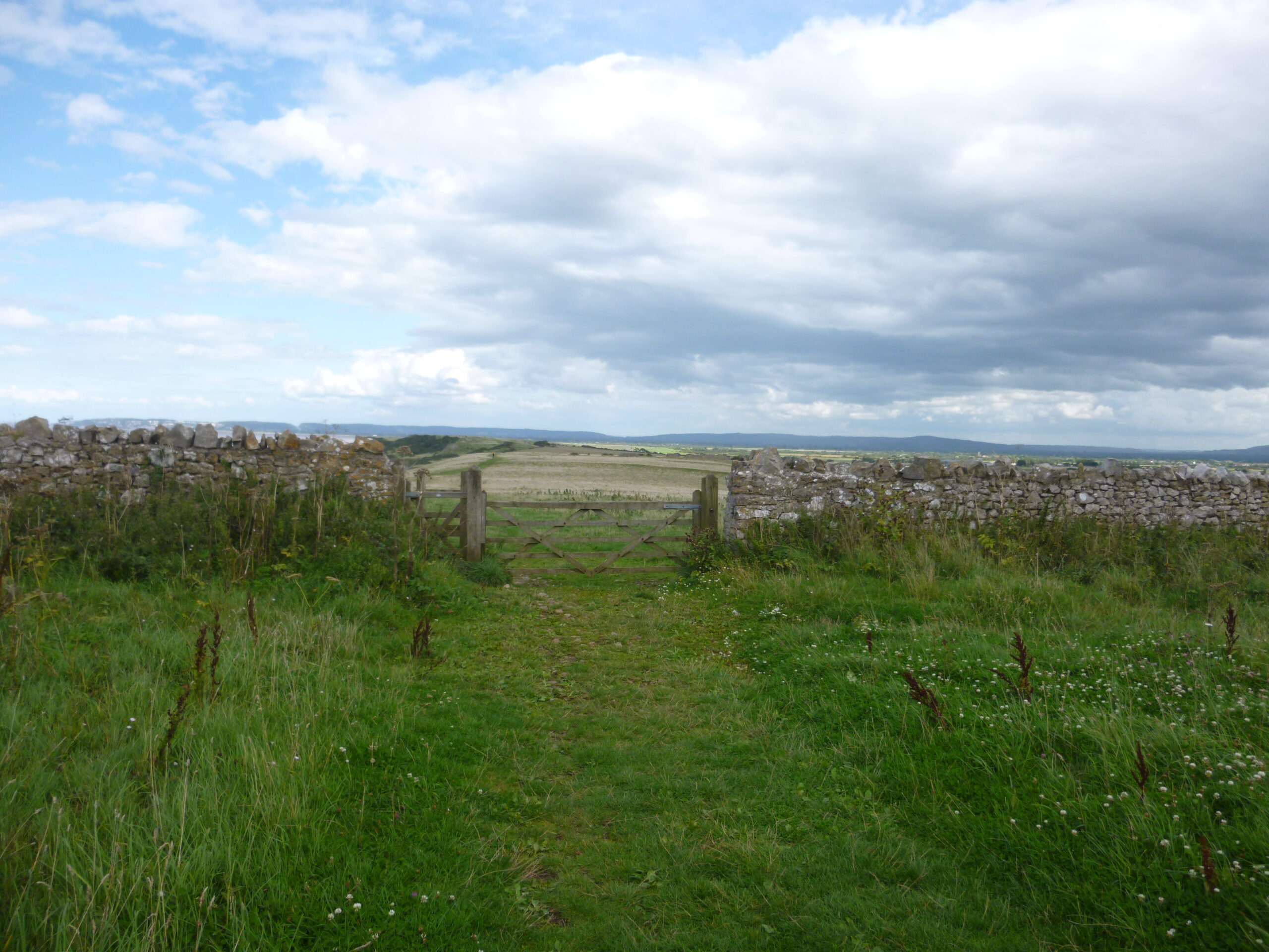 Sand Point, gate between fields cr Judy Darley