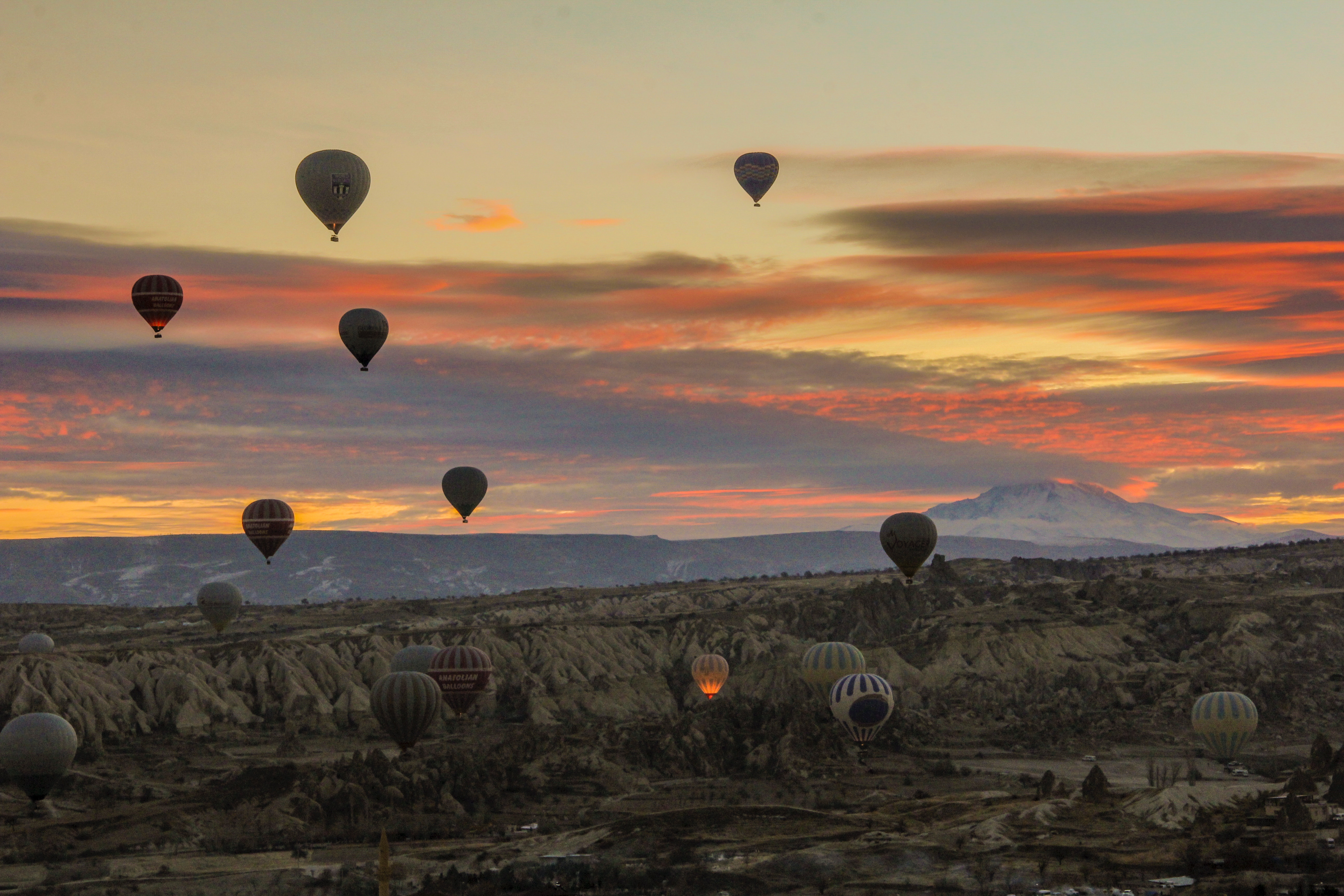 Balloons. Photo by Gamze Bozkaya on Unsplash