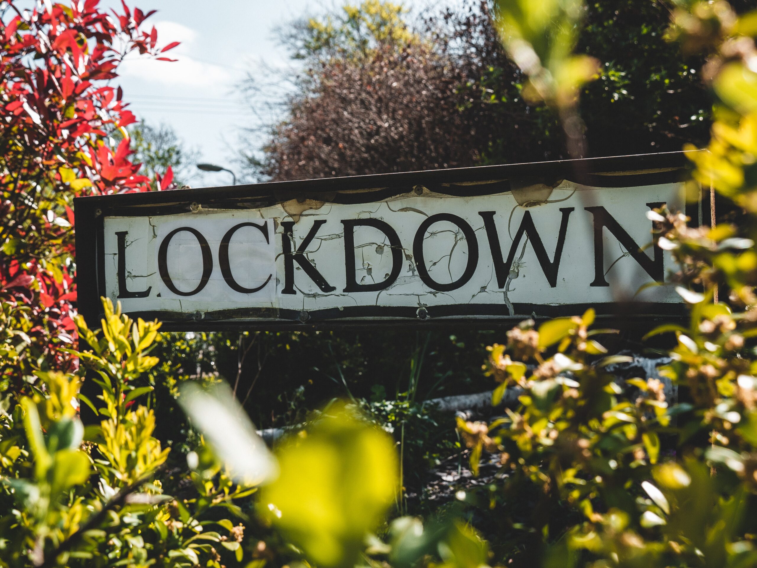 Lockdown Street Sign amid flowers